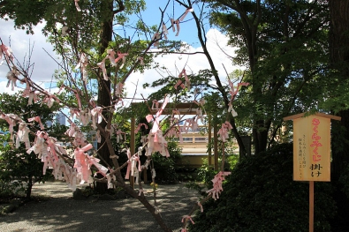 多摩川浅間神社で縁結び祈願 - 花咲き乱れる境内で縁結び祈願